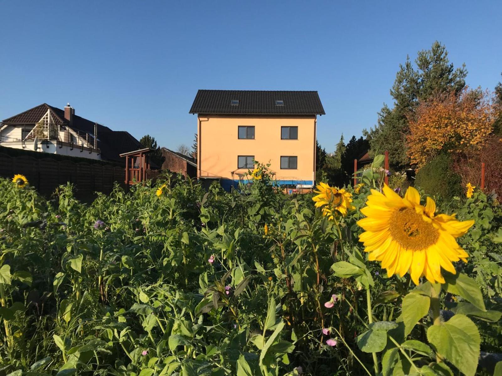 Stadt. Land. See. Ferienwohnung Leipzig Ngoại thất bức ảnh